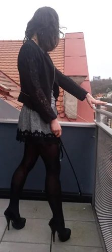 Hledání 