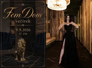 Sháním otroka (doprovod) na Femdom večírek 9.9.