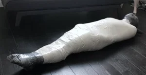 Mumifikace