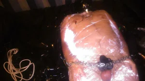 DVĚ DOMINY USTI nL, dle domluvy u mne v Praze