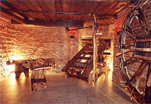 Hledáme Dominu, - nabízíme Mučírnu pro Vaše hrátky