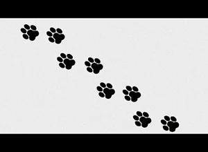 Submisivní a oddaný muž jako dárek vánoční?