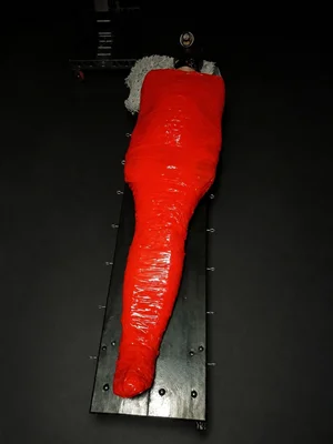 Znehybnění 