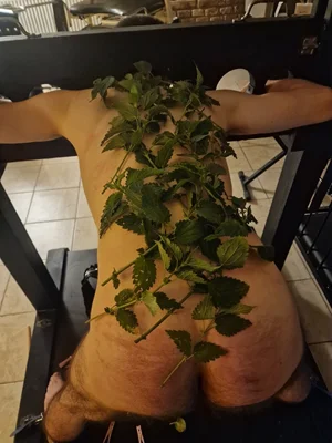 Letní koktejl od L.A.