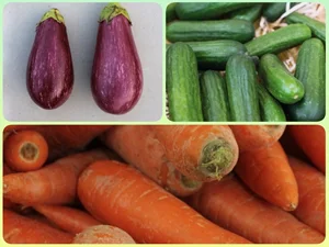 🥒VEGETABLE 🍆 SESSION🥕