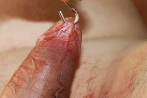 Madam Anna z Poděbrad