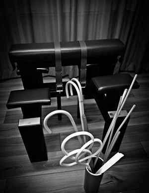 Spank lekce Madam GINA