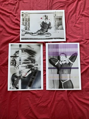 TRIPTYCH Z CYKLU PANÍ