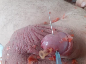 Jak moc jsi masochista? Zvladnes mou lekci?