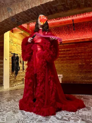 Důkladný výprask od transdominy