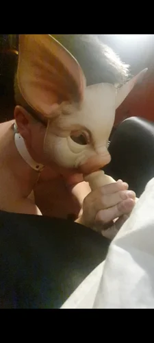 Videa - poslední šance 