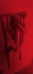 IMG_20250628_170634.jpg