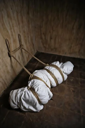 Hledám pevnou dominanci (Paní/Pána)