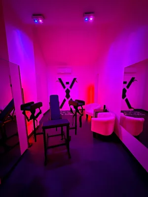 Nové Studio Octopus 