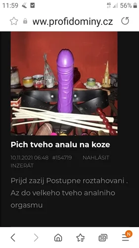 Pich tveho analu na koze 