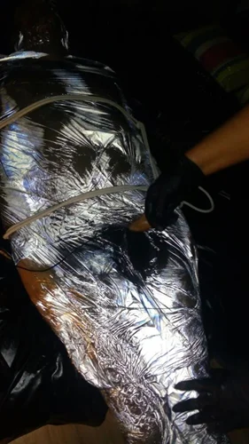 PRIROZENA DOMINANCE USTI nL