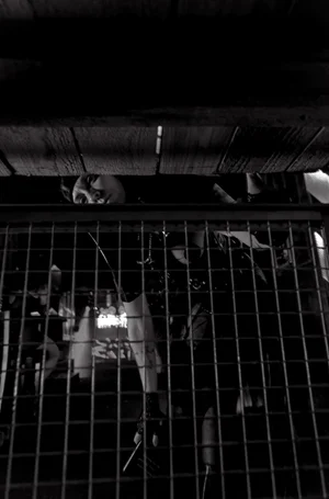 Inside the cage