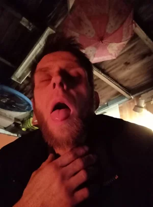 Ano má paní 