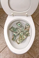 depositphotos_7637381-stock-photo-toilet-and-money.jpg