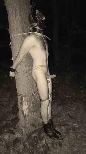 Připoutání otroka v noci ke stromu - odměna pro Madam