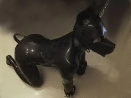 Dog play