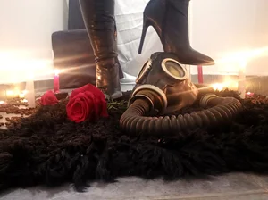 Akce Madam Anny 10.12 - 12.12.