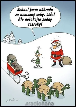 Dlouhodobé realnè D/s